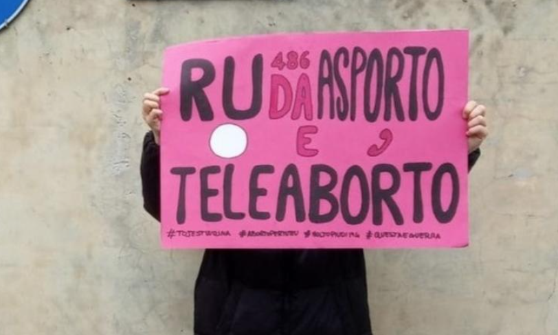 Le “femministe” di Non Una Di Meno vogliono un aborto da asporto 1